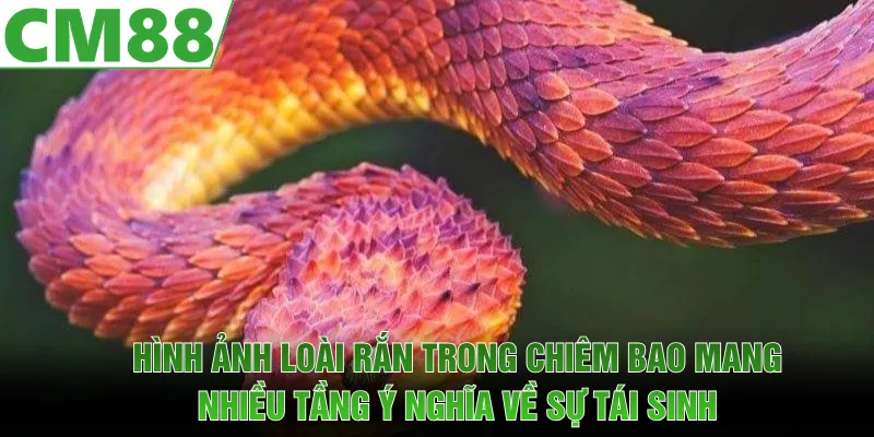 Hình ảnh bé na trong chiêm bao mang nhiều tầng ý nghĩa về sự tái sinh